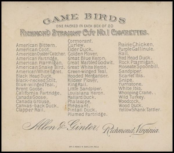 BCK N40 Game Birds.jpg